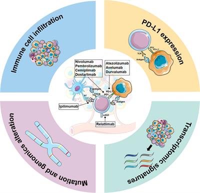 Frontiers | The Current Landscape Of Predictive And Prognostic ...